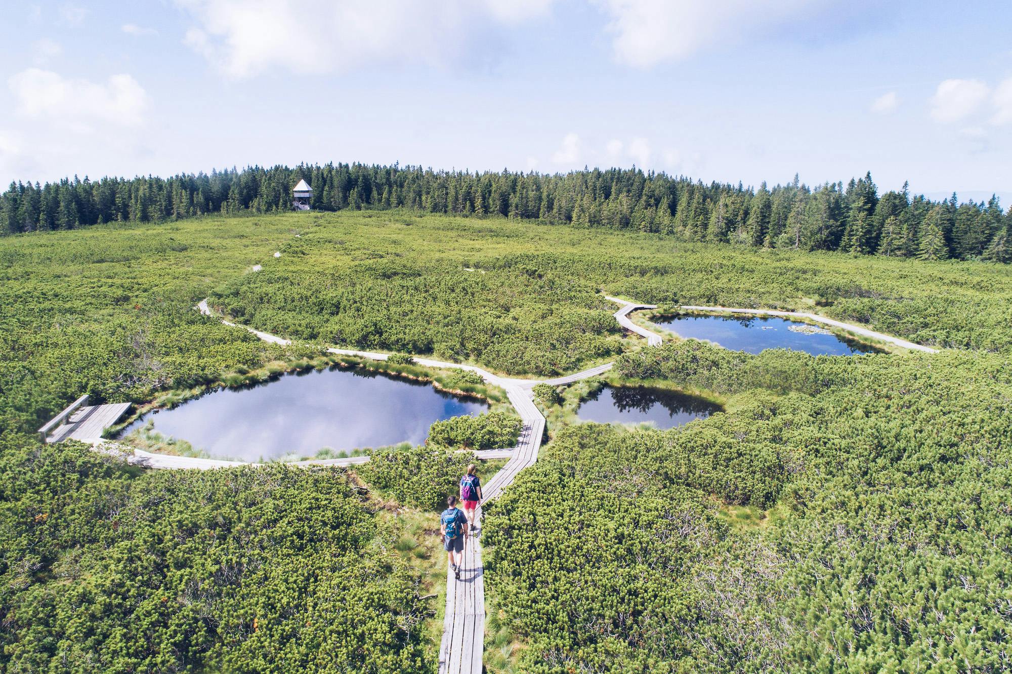 Wellness & Spa Apartmani Bolfenk - Ljeto na Pohorju - Odmor tijekom tjedna