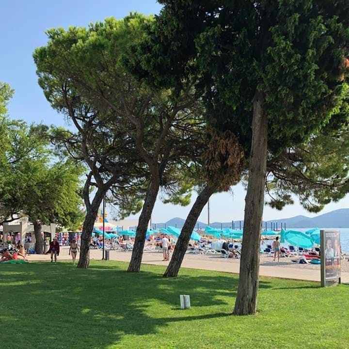 Hotel Albamaris - Ljeto u Biogradu