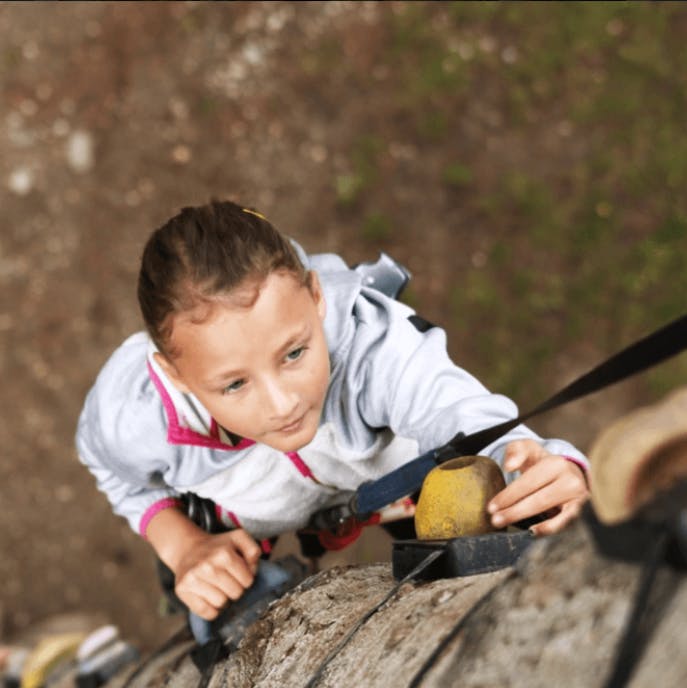 Adrenalinski park Menina - Avantura penjanja po drveću za najmlađe