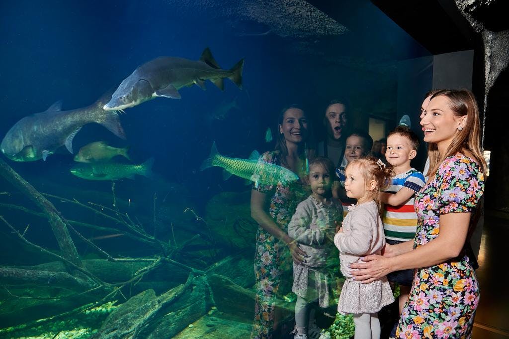 Aquatika slatkovodni akvarij - Obiteljska ulaznica