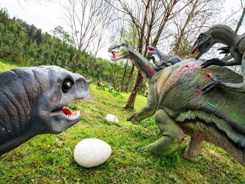 Dinopark Bled - Ulaznica za odrasle