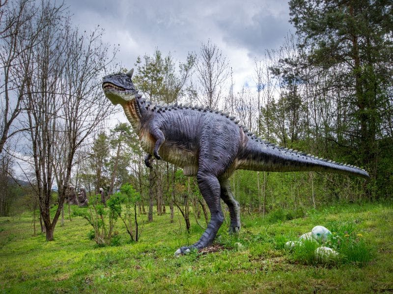 Dinopark Bled - Obiteljska ulaznica