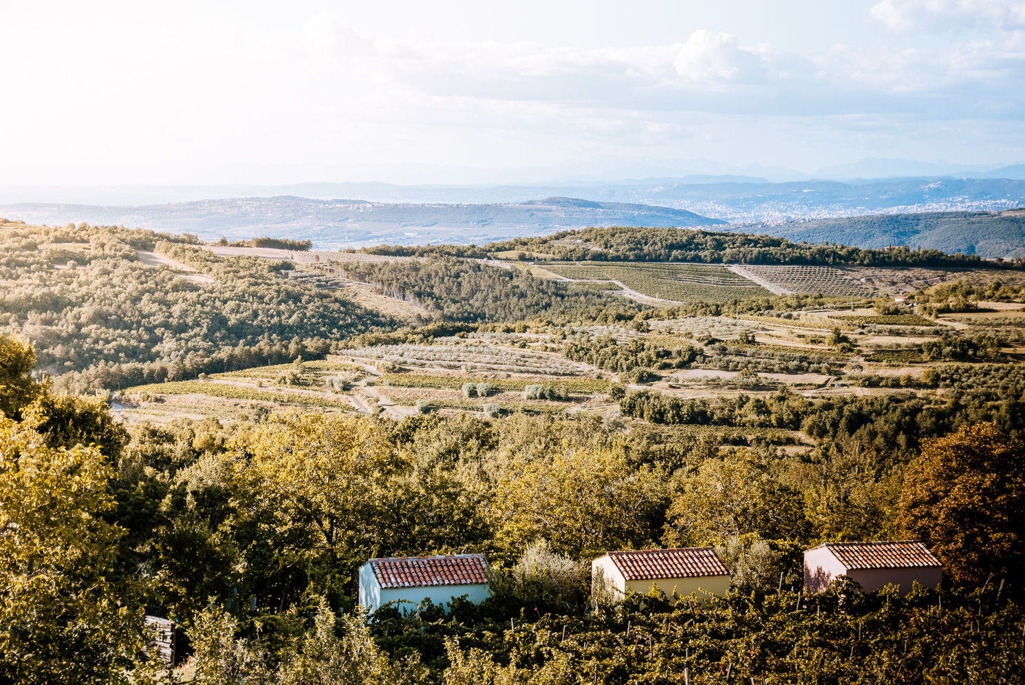 Kućice slovenske Istre
