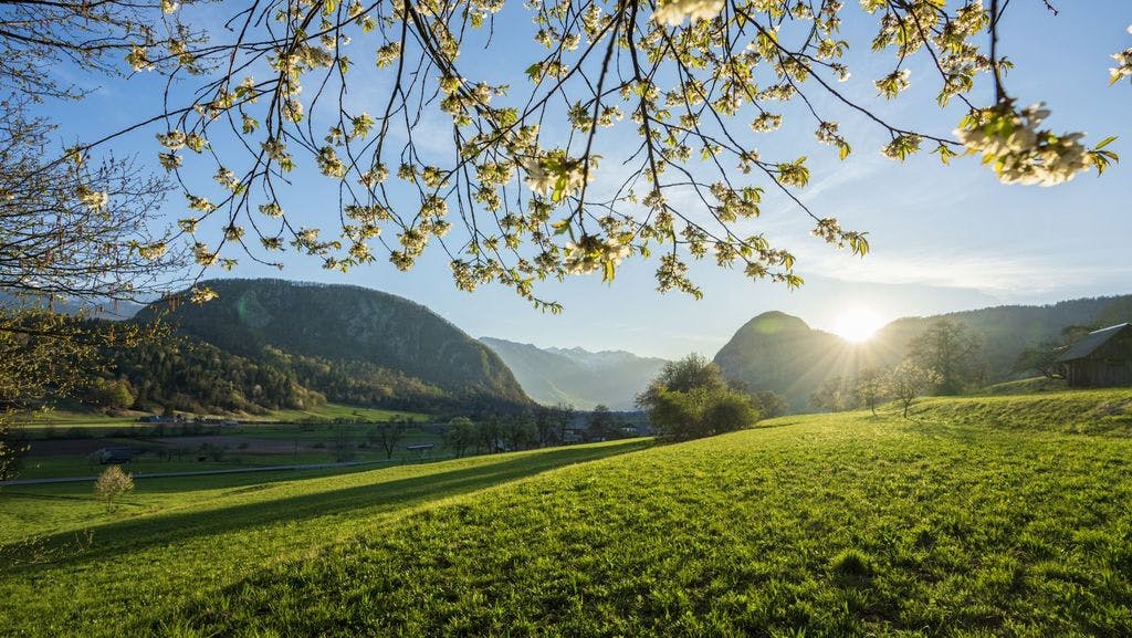 Apartmani MM BOHINJ - Odmor u prirodi