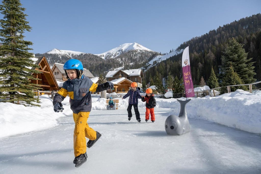 Alm-Resort Frühauf - All inclusive obiteljski zimski odmor u Austriji
