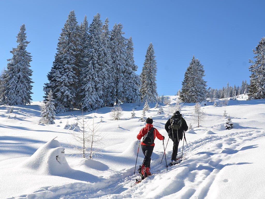 Landidyll Hotel Nudelbacher - Zimski odmor u Kärntenu