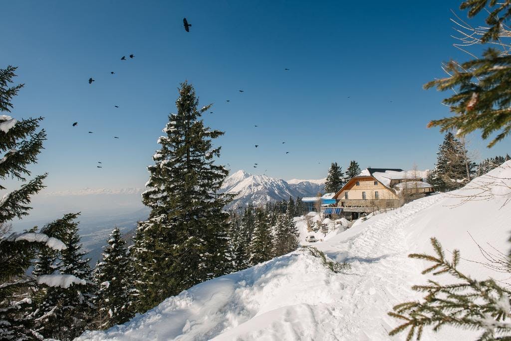Hotel Rozka Krvavec - Zimski odmor na Krvavcu