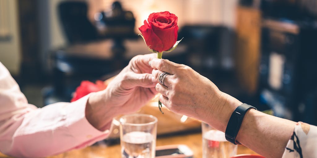 Hotel Olympia - Valentinov sunset lunch uz wellness