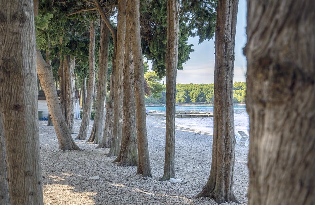 Aminess Vival Velaris Resort - Obiteljsko first minute ljeto na Braču