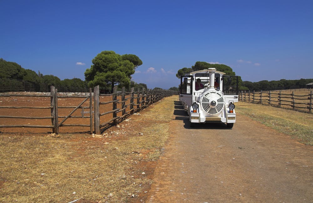 Hotel Villa Letan - Wellness opuštanje s uključenim izletom na Brijune