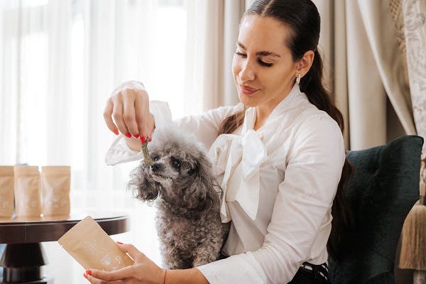 Hotel Zagreb - Vrhunski odmor s kućnim ljubimcem