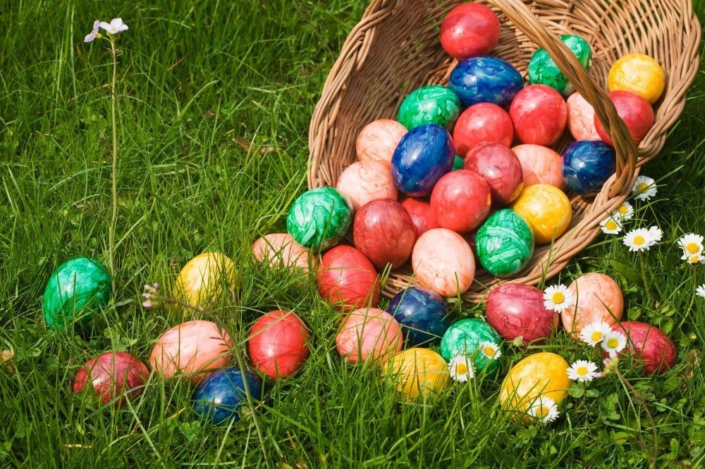 Crvena Luka Resort - Family apartman - Proljetni wellness odmor uz zabavni program