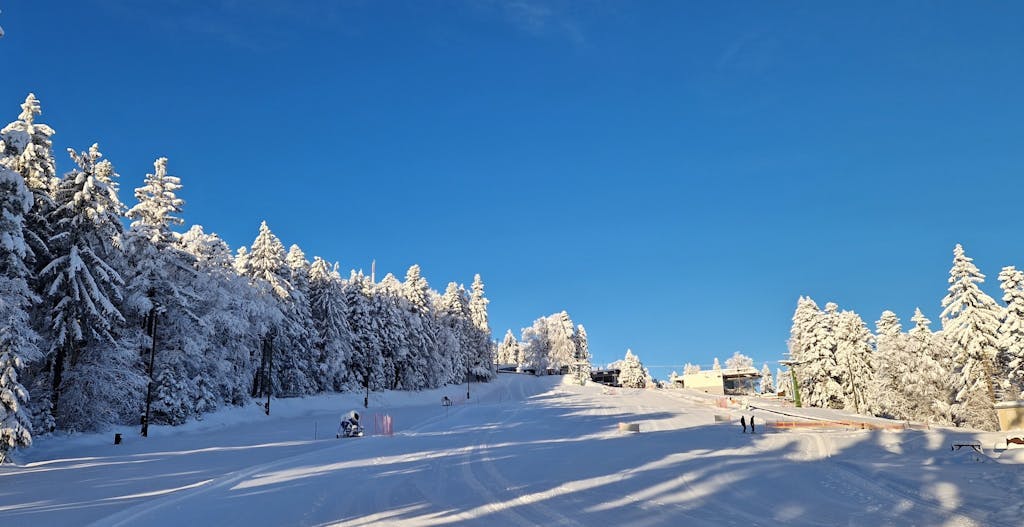 Forest Hotel Videc - Skijaški paket s wellness opuštanjem