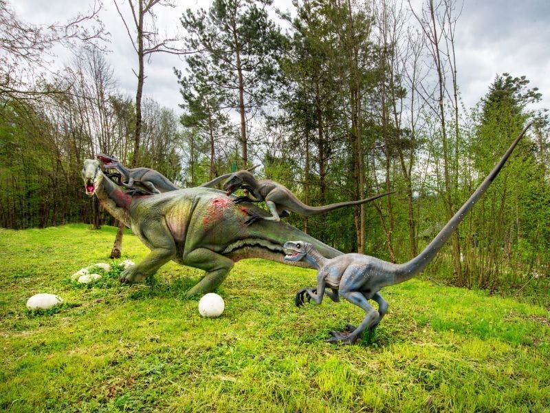 Dinopark Bled - Ulaznica za djecu