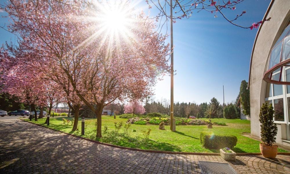 Hotel Ovit - Odmor u Mađarskoj