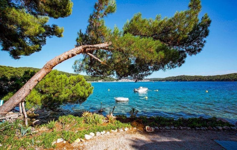 Camping Village Poljana - Mobilna kućica - Odmor na Malom Lošinju