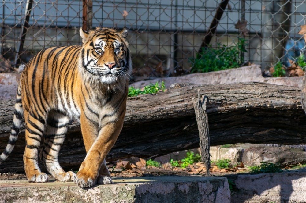 Završetak škole u Barceloni - Zoo Barcelona