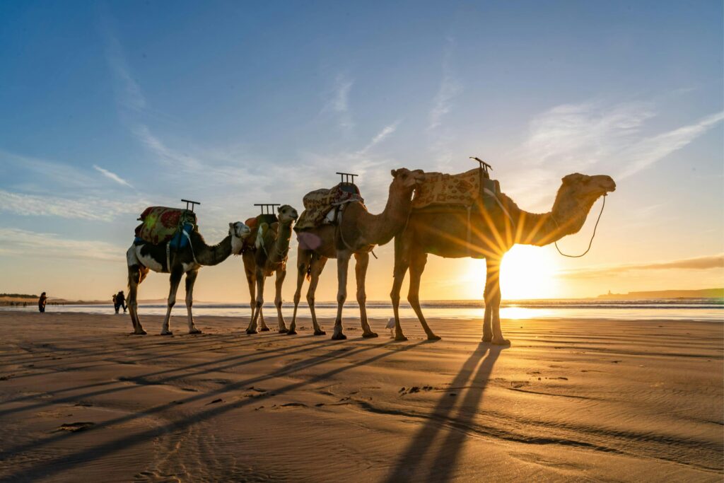 Ljetni odmor u Maroku