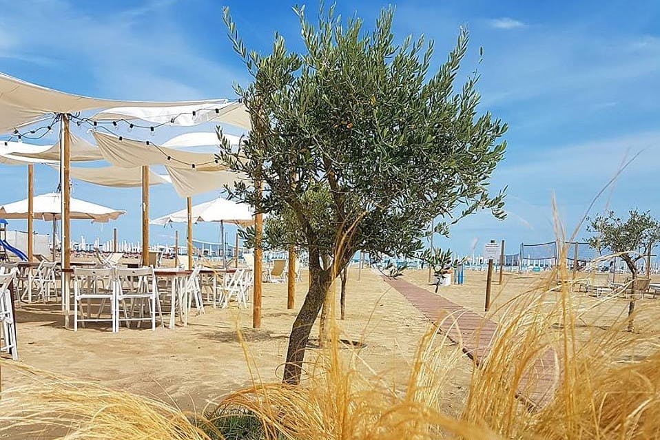 Hotel Alba - Odmor uz pješčanu plažu