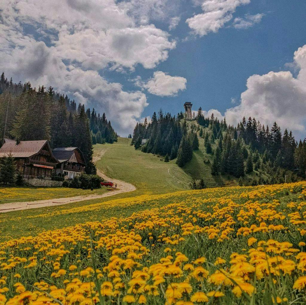 Blanca Resort & Spa - Ljetni wellness odmor na Vlašiću