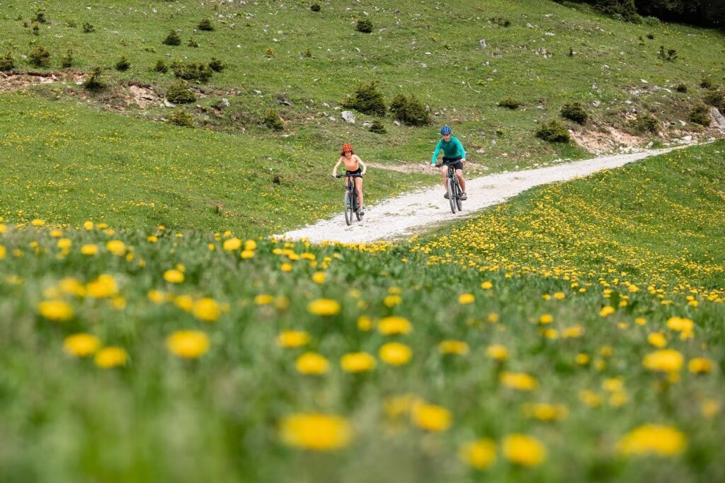 Wellness hotel Montis - Adrenalinska avantura s dozom wellnessa za dvoje na Goltama