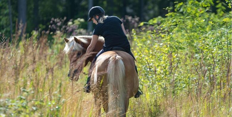Galop u nepoznato - jahačka avantura kroz prirodu u trajanju 2 sata u organizaciji Udruge Šapat konja