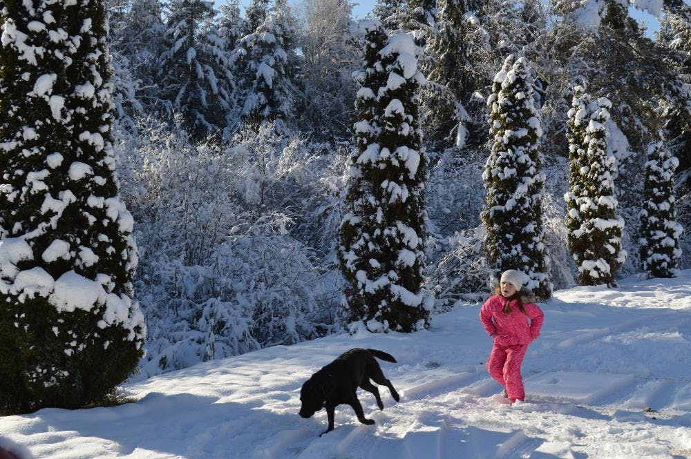 Landidyll Hotel Nudelbacher - Zimski odmor u Kärntenu