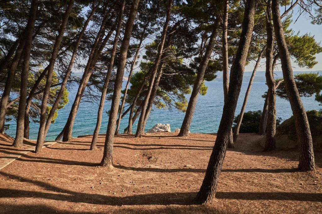 Sagitta Holiday Resort - Obiteljski kraj ljeta i jesen u Omišu - Superior bungalov